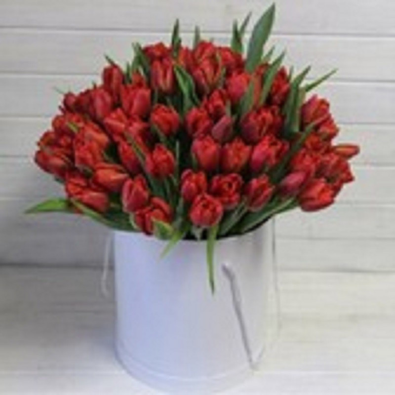 Tulips in a box, standart