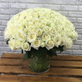 201 white rose 50 cm