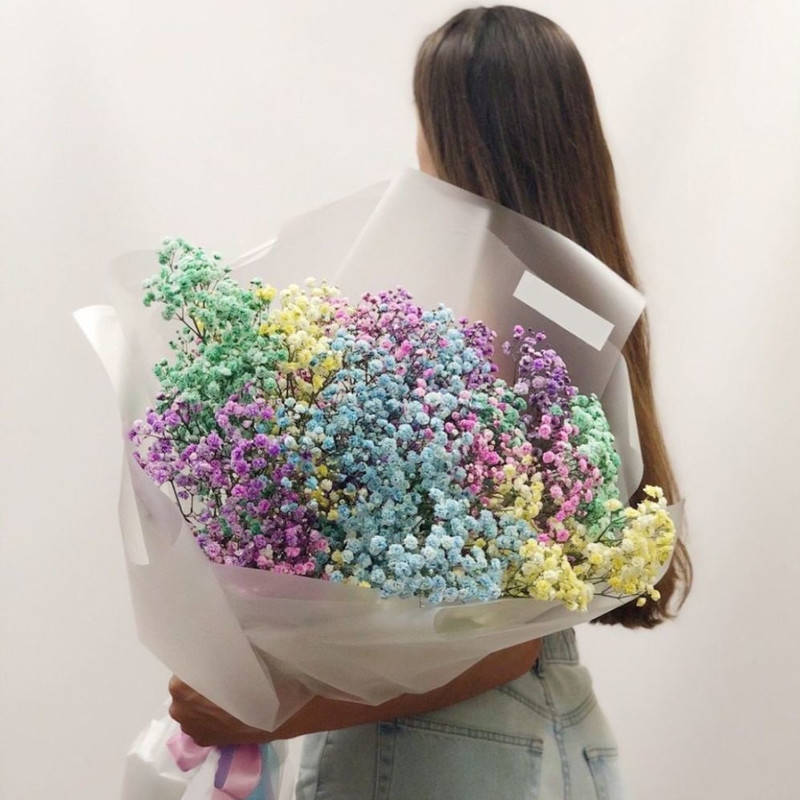Bouquet of 17 branches of colored gypsophila, standart