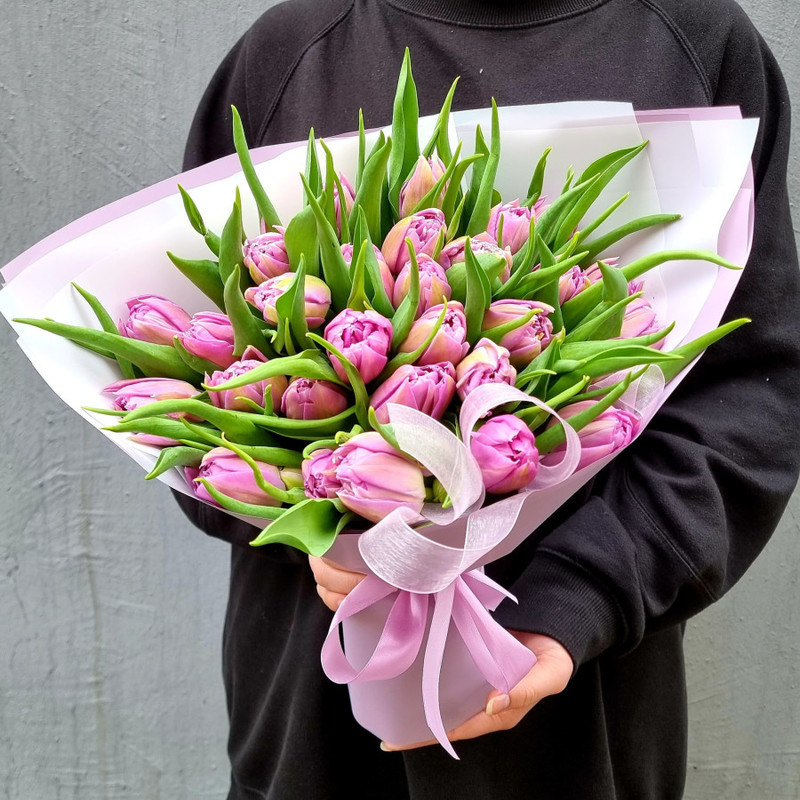 27 lilac peony tulips, standart