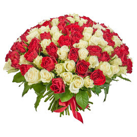 Bouquet of 101 red and white Kenyan roses