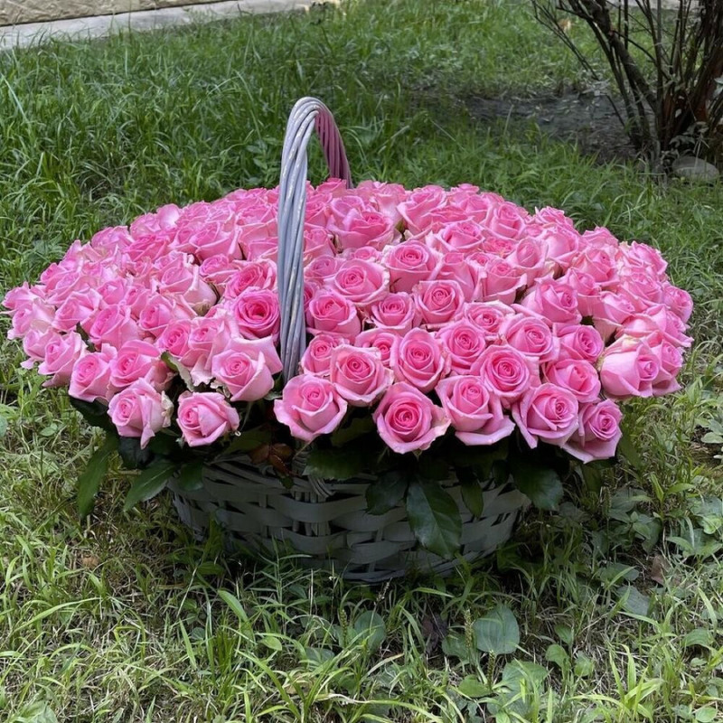 101 most delicate roses in a wicker basket, standart