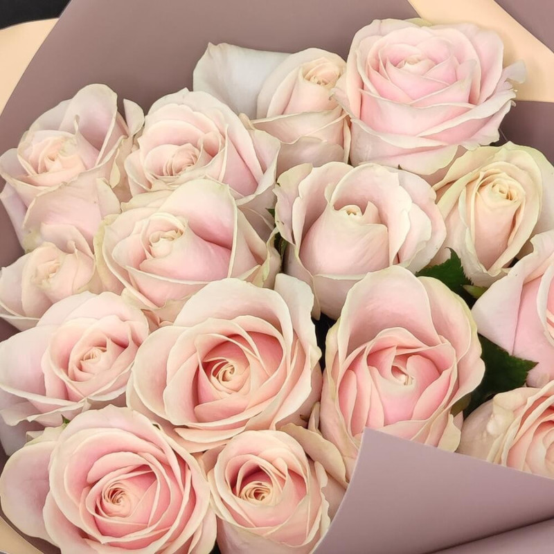 Bouquet of 15 soft pink roses in designer decoration 50 cm, standart