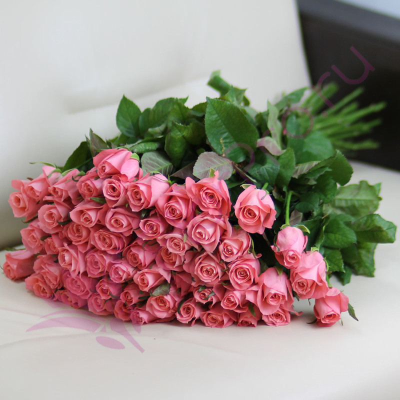 Bouquet of 51 roses "Pink roses Anna Karina" 60 cm, standart