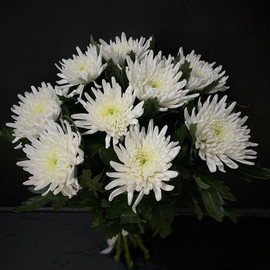 Bouquet of 9 single-headed chrysanthemums (code 30)