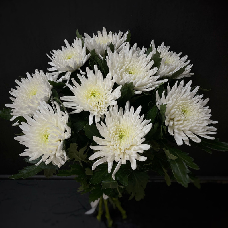 Bouquet of 9 single-headed chrysanthemums (code 30), standart