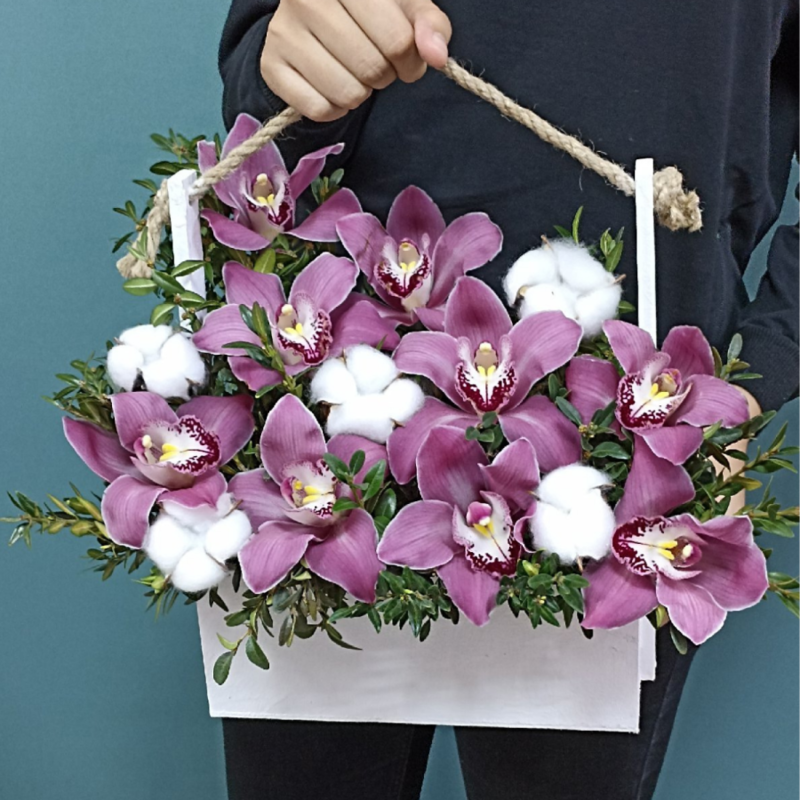 Composition of Orchids, standart