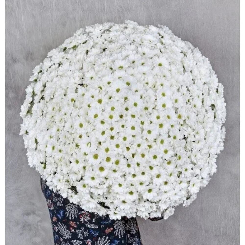 Bouquet of Chrysanthemum "Chamomile field" 101 pcs, standart