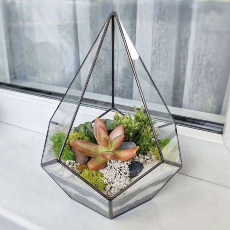 Geometric florarium drop with plants, standart