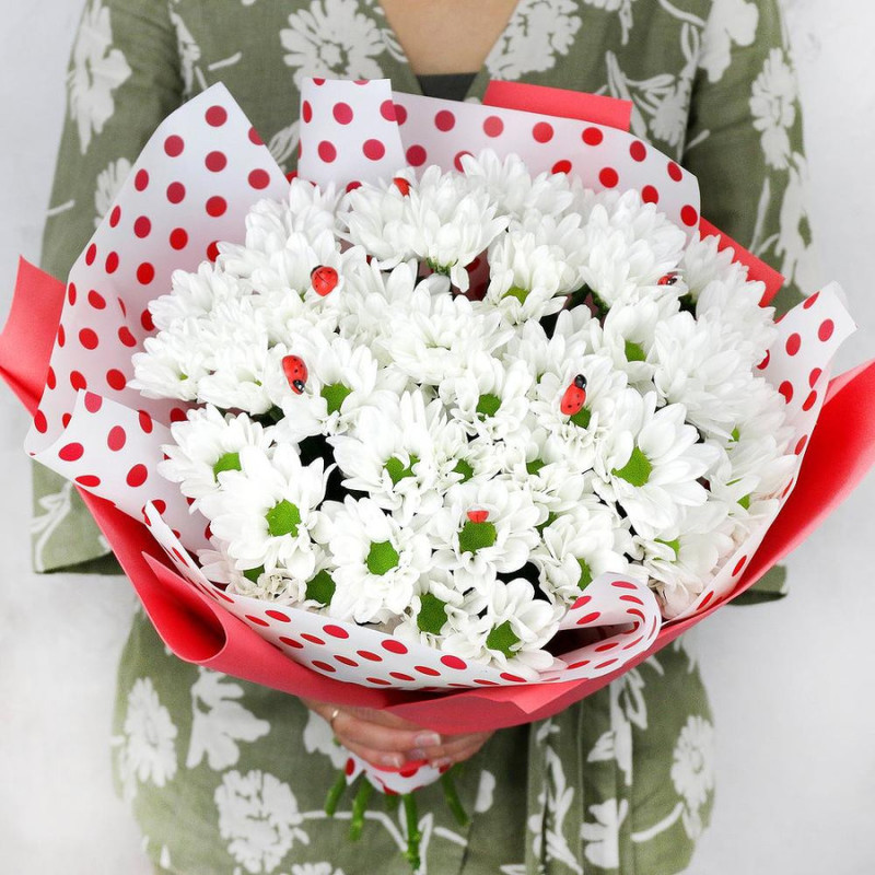Bouquet of white chrysanthemum with ladybugs, standart
