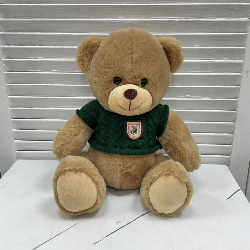 Teddy Bear toy in an emerald sweater, standart