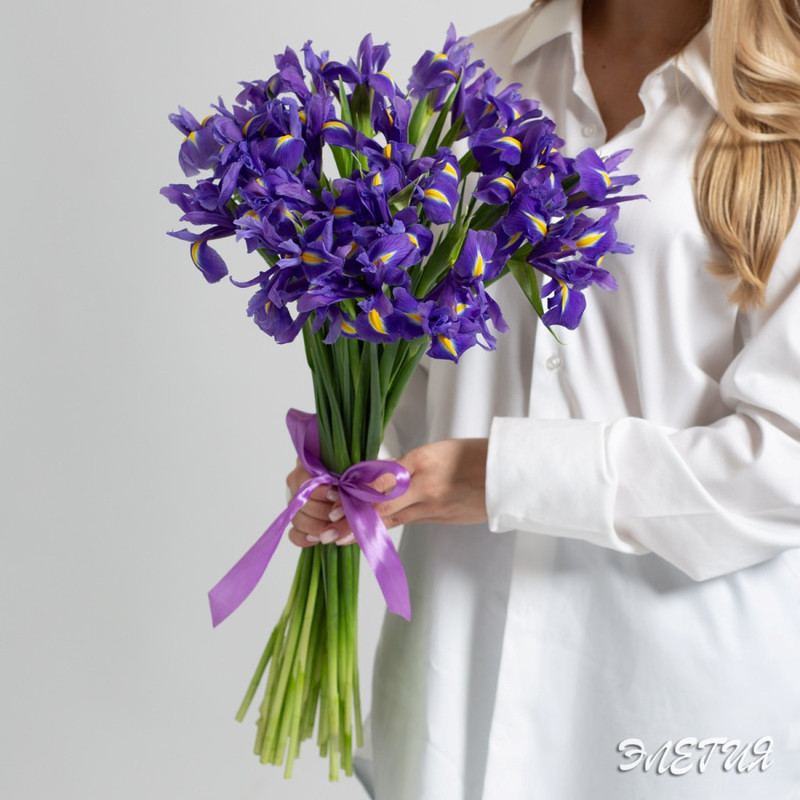 Bouquet of 25 blue irises, standart