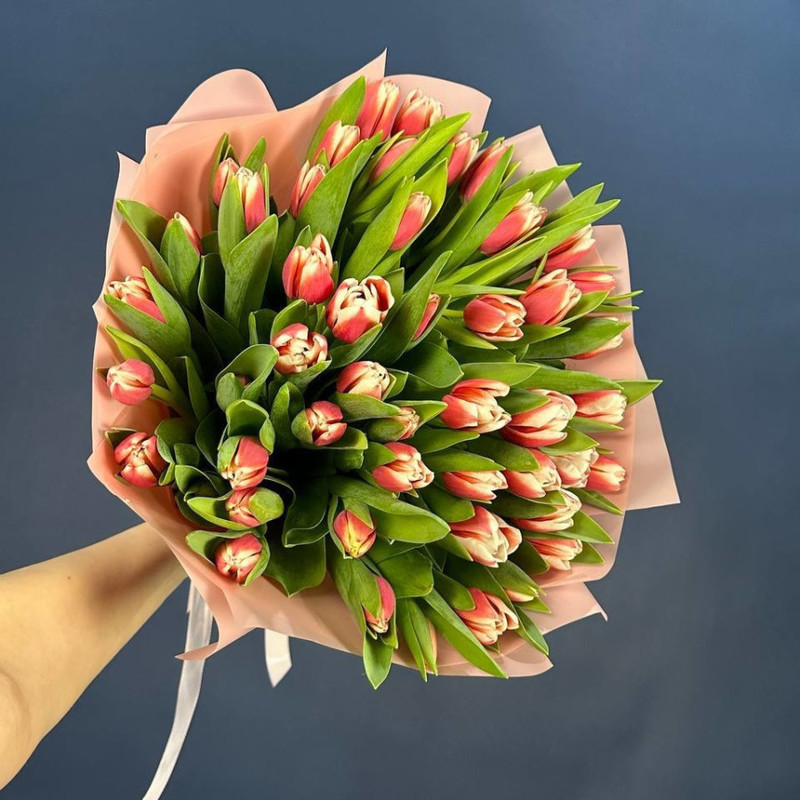 Bouquet of 51 pink and white tulips in a package, standart