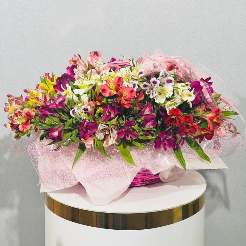 Gift basket with colorful alstroemeria, standart
