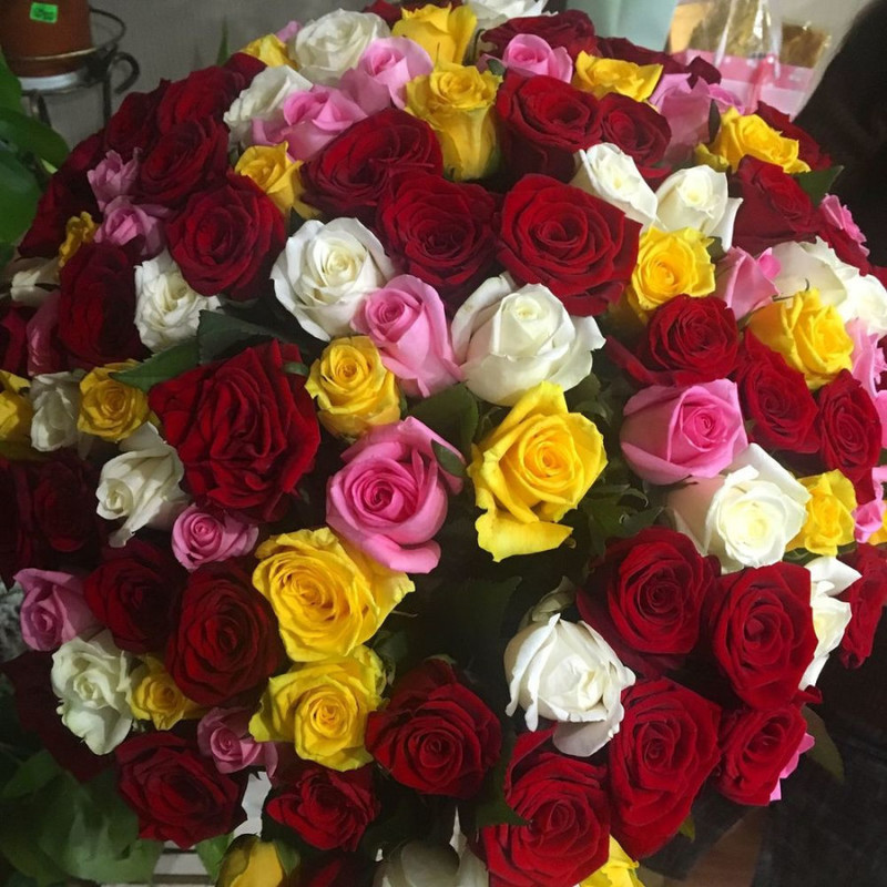 101 разноцветная роза 40 см, стандартный