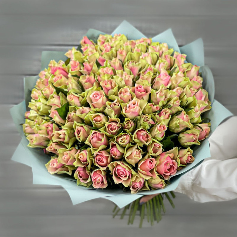 Bouquet of 101 green-pink roses 40 cm in a package, standart