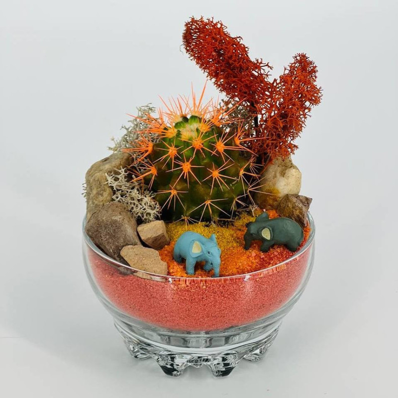 Cactus in a glass florarium with sand, standart