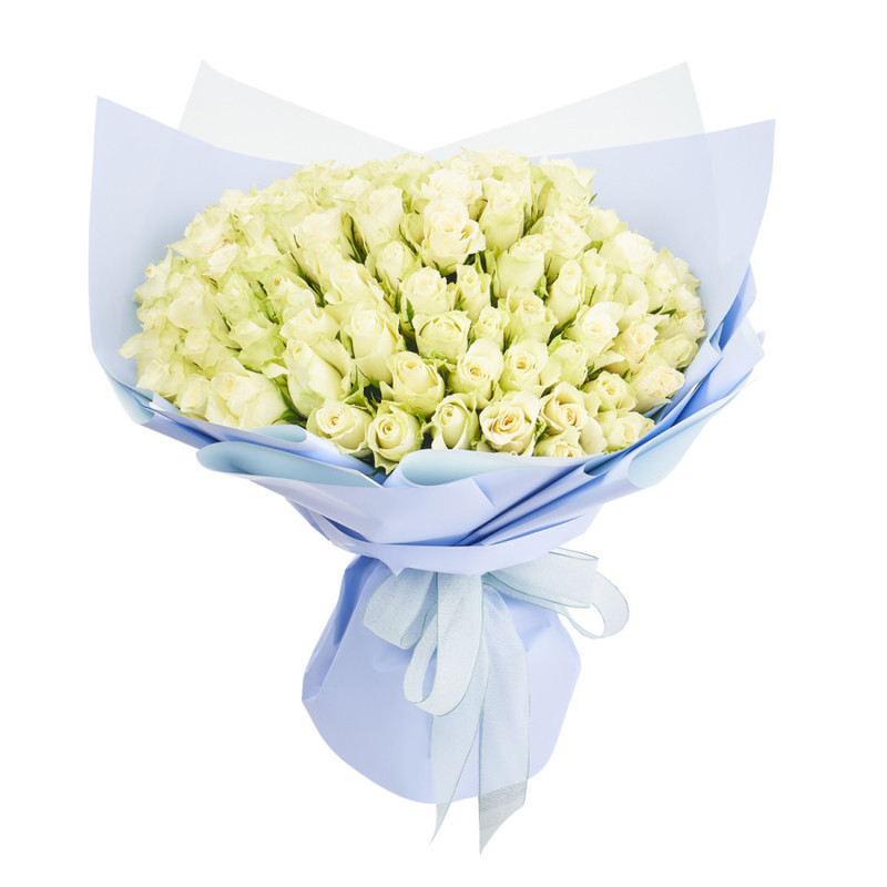 Bouquet of 101 white Kenyan roses in a package, standart