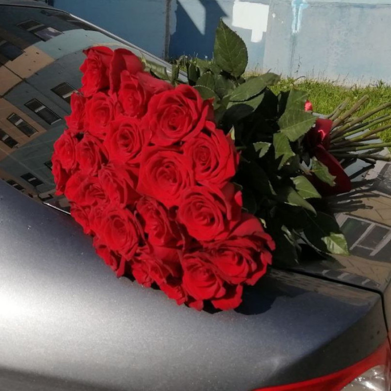 red roses 25 pieces, standart