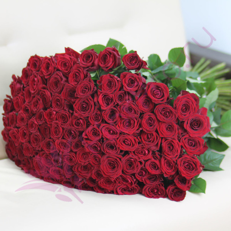 Букет из 101 красной розы 70 см, стандартный
