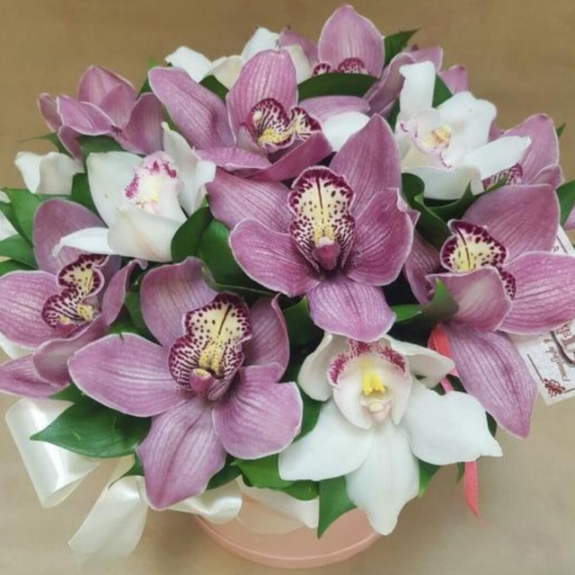Цветы в коробке «Миксовая орхидея», стандартный
