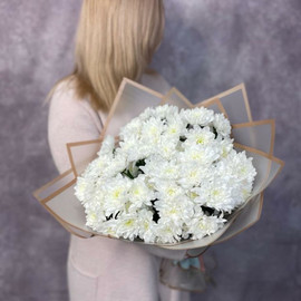 Bouquet of 15 chrysanthemums 0064648