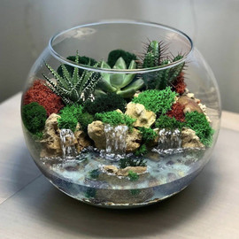 Glass terrarium with plants