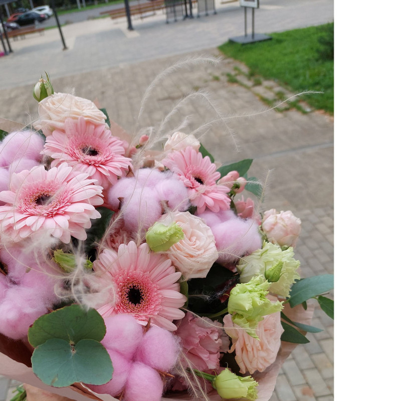 bouquet with cotton, standart