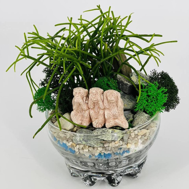 Растительный мини флорариум с фигуркой нэцкэ "Три обезьяны", стандартный