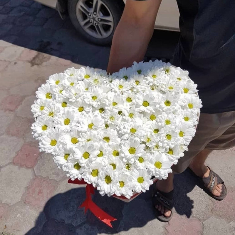Bouquet of daisies to a heart box, standart