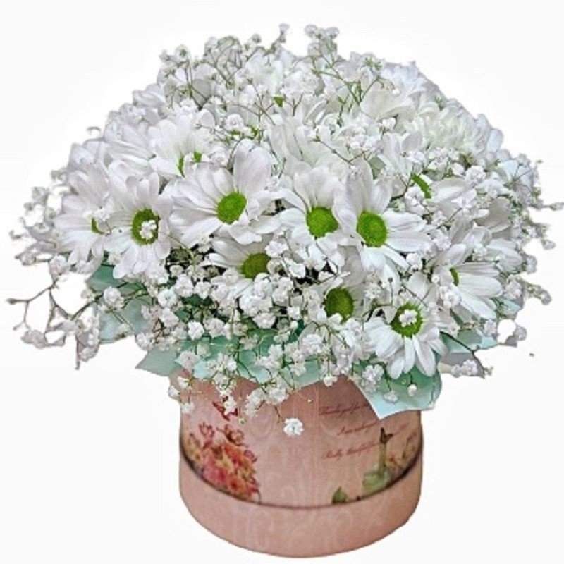 Chrysanthemums and gypsophila in a hatbox, standart