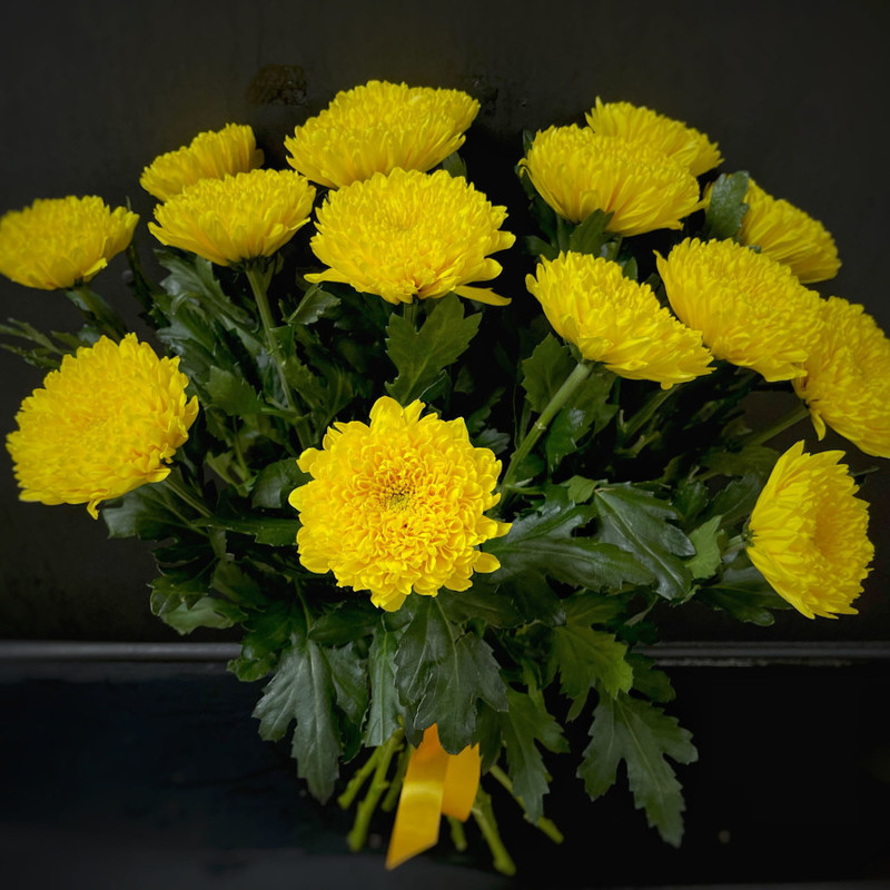 Bouquet of 15 single-headed chrysanthemums (code 34), standart