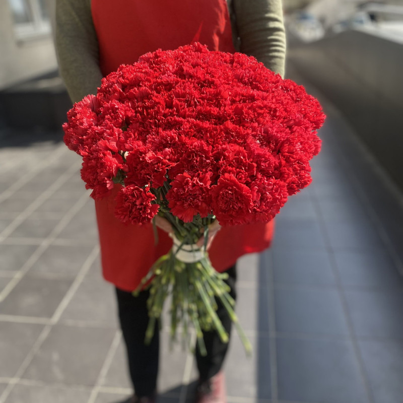 68 red carnations, standart