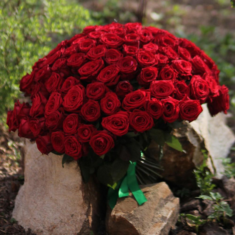 101 красная роза Ред Наоми 40 см, стандартный