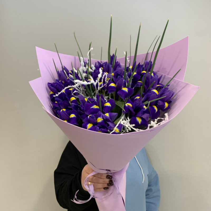 Bouquet of 25 irises and vaccinium "Tit", standart