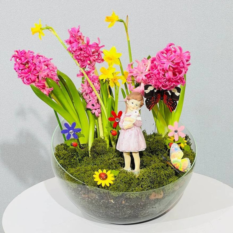 Desktop mini garden with hyacinths and daffodils, standart