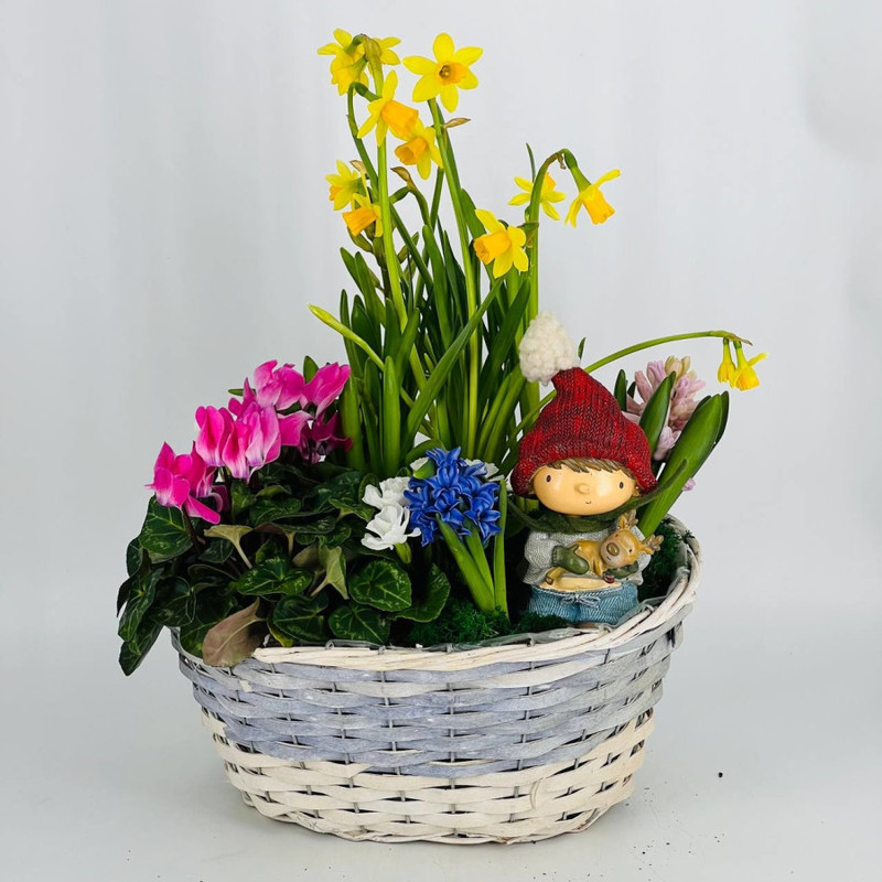 Spring mini garden in a wicker basket, standart