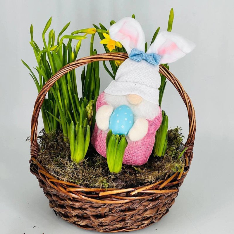 A spring composition of primroses with a gnome is a gift for Easter, standart