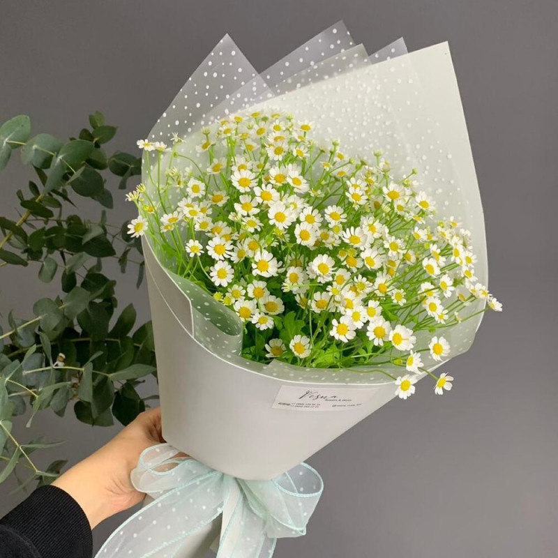 Field daisies in designer packaging size S, standart