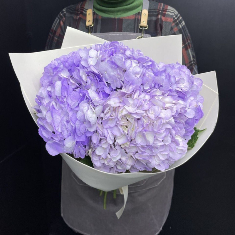 Bouquet of lavender hydrangeas, standart