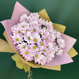 Bouquet of 5 pink chrysanthemums