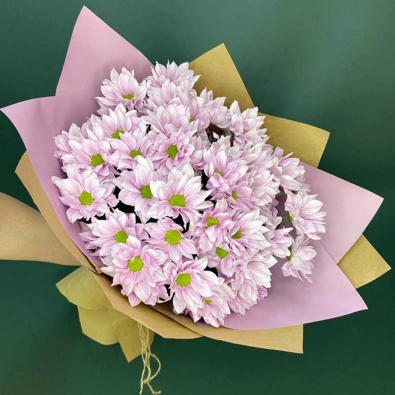 Bouquet of 5 pink chrysanthemums, standart