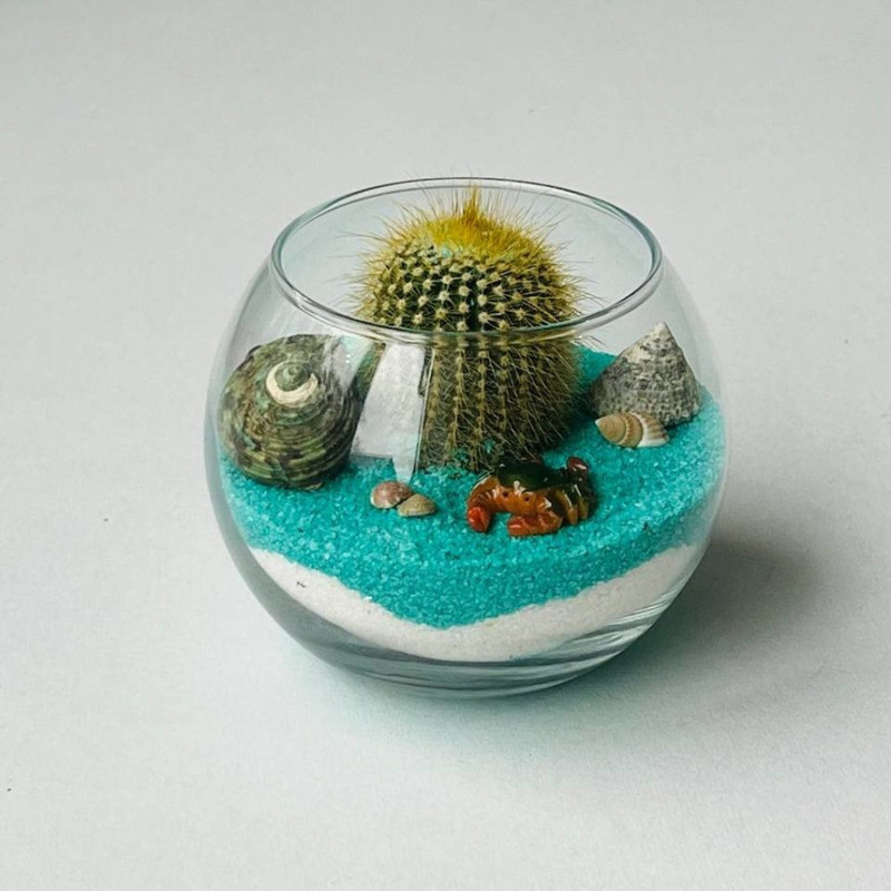 cactus in glass, standart
