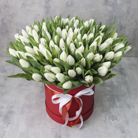 101 white tulips in a box