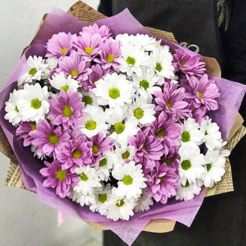 Bouquet of white and pink chrysanthemums, standart
