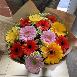 Bouquet "Gerberas for your beloved