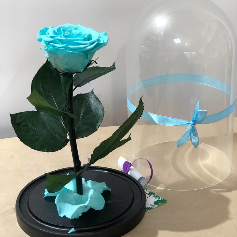 Rose in a blue flask, standart