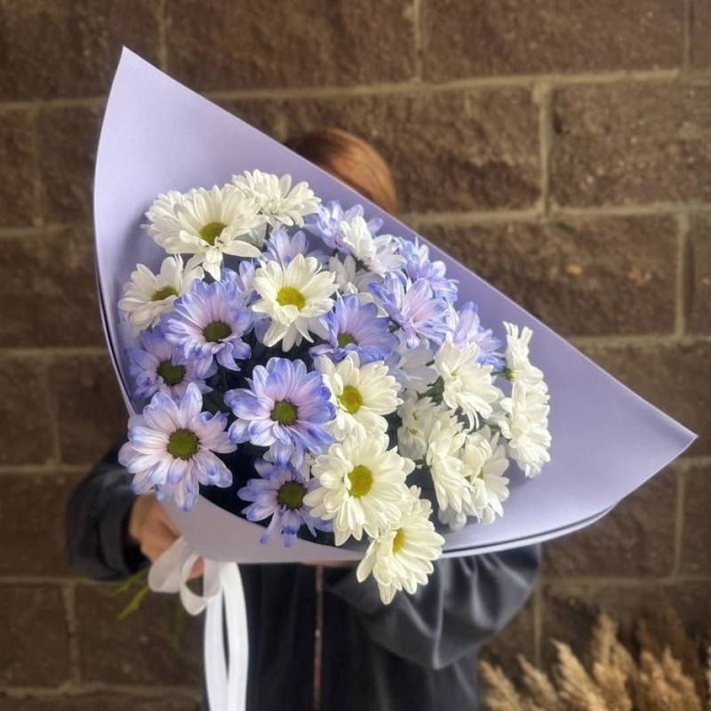 Lavender bouquet of 5 chrysanthemums, standart