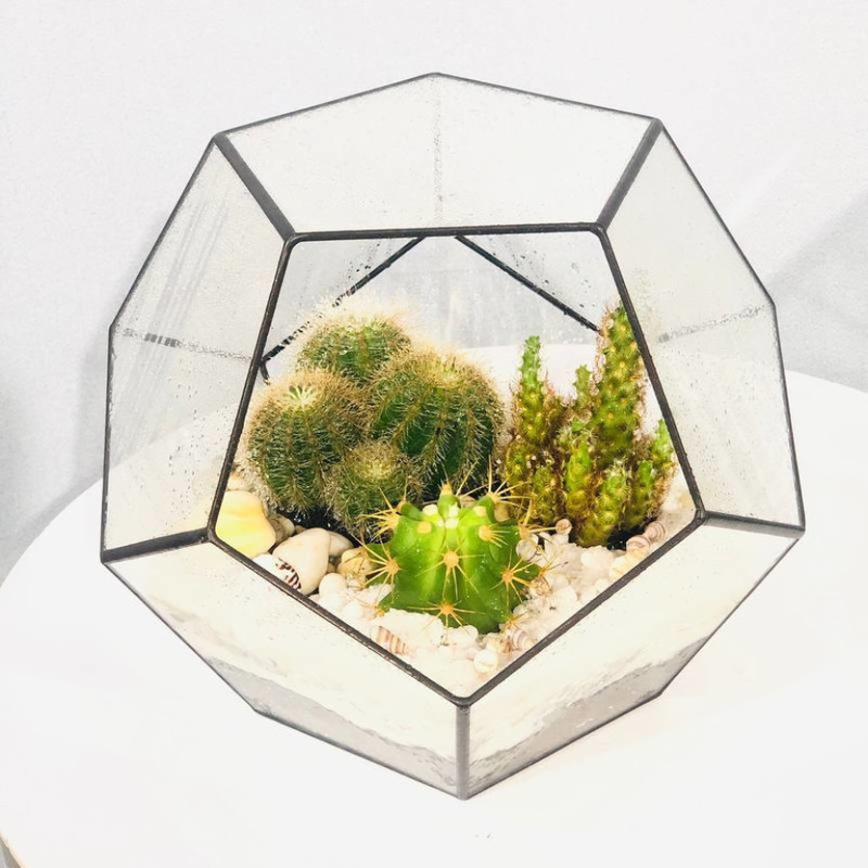 Флорариум октаэдр с растениями мини сад интерьерный, стандартный