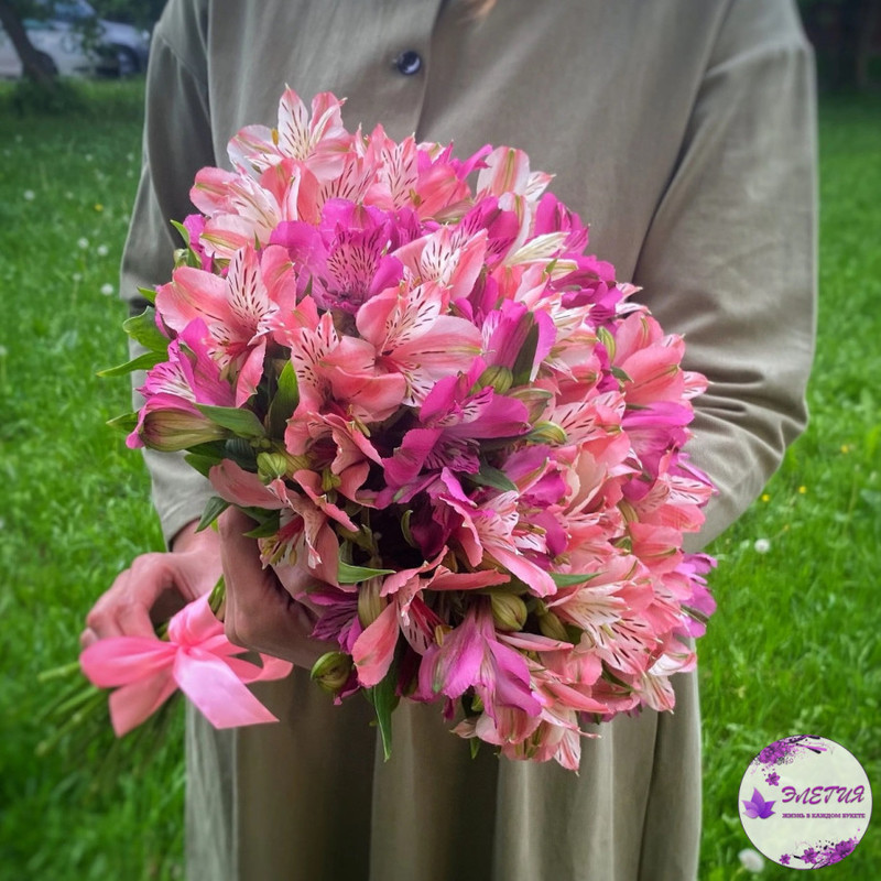 Bouquet of 19 pink alstroemerias with ribbon, standart